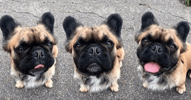 © Instagram: Oh Hi Burney