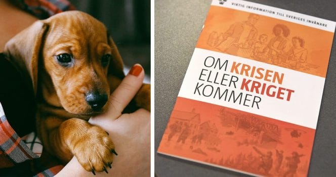 MSB-broschyr exkluderar husdjur