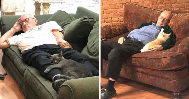 katt farbror katthem