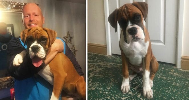 Valpen Leo kvävdes i hemmet