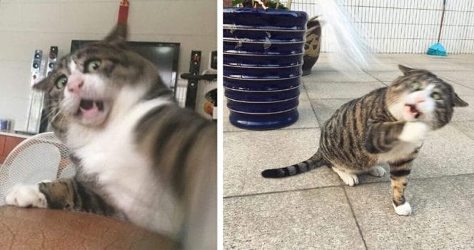 Foto: Instagram @tang9599