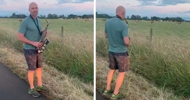 saxofon, ko, erin herrmann