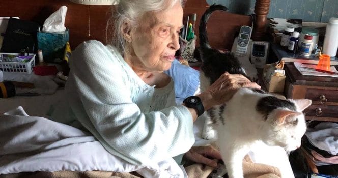 Foto: Humane Society of Catawba County/Facebook