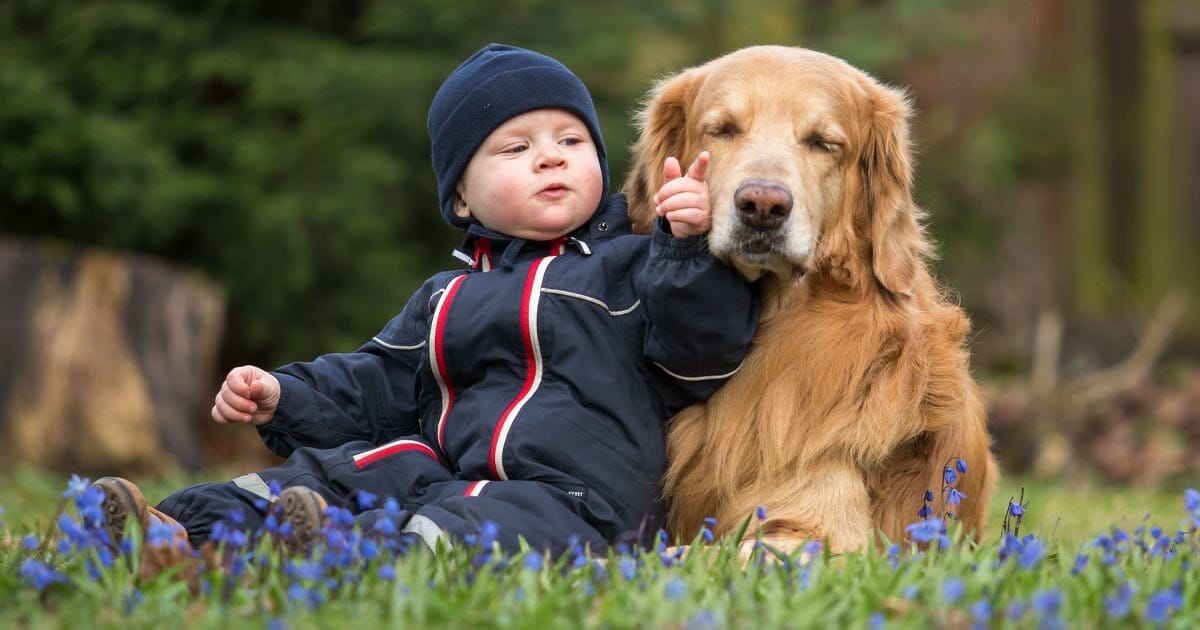 Pojke och hund, hund, pojke, barn, vänner, genrebild