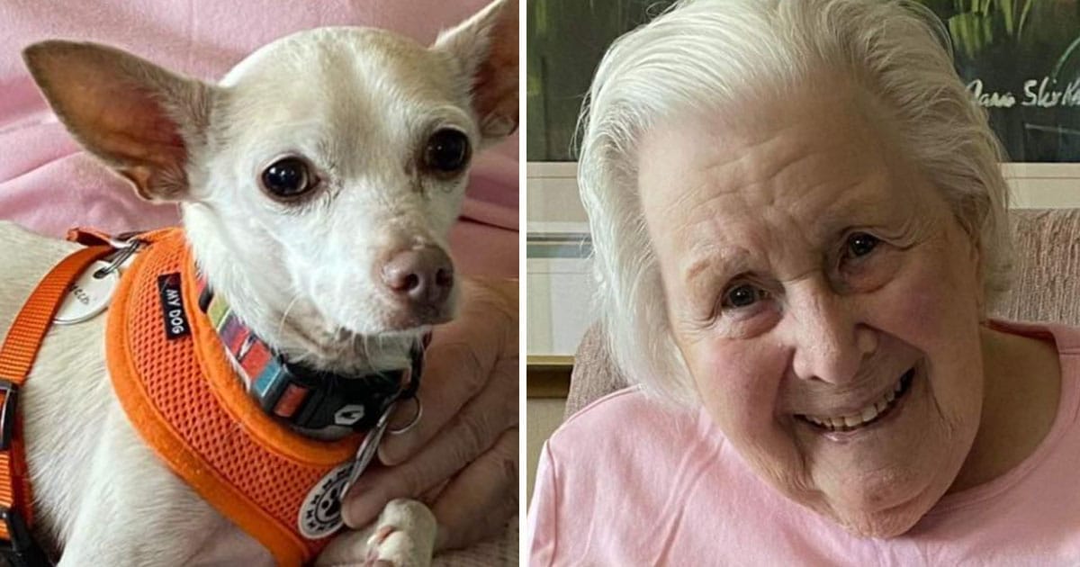 Gnocchi, Gucchi, adoption, 100-åring