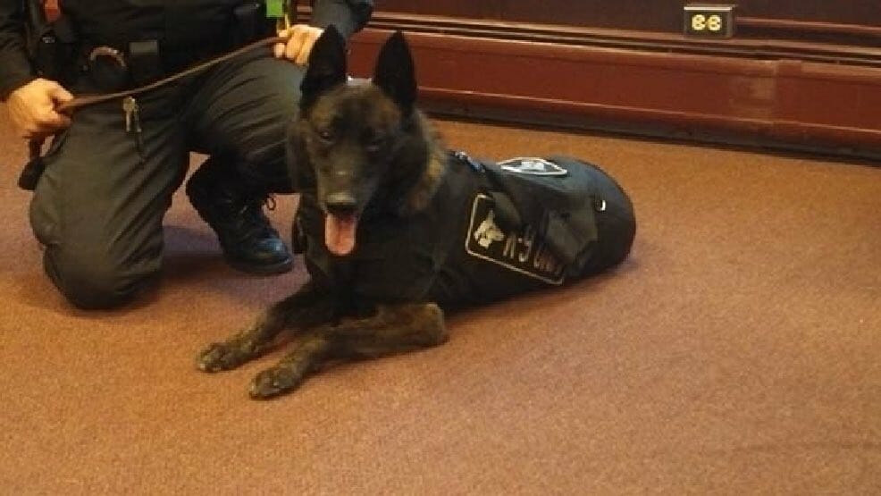 Officer says final goodbye to K9 dog Axel, his partner and pet