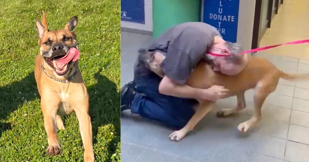 Man reunites with dog he surrendered during cancer battle, 2 years later.