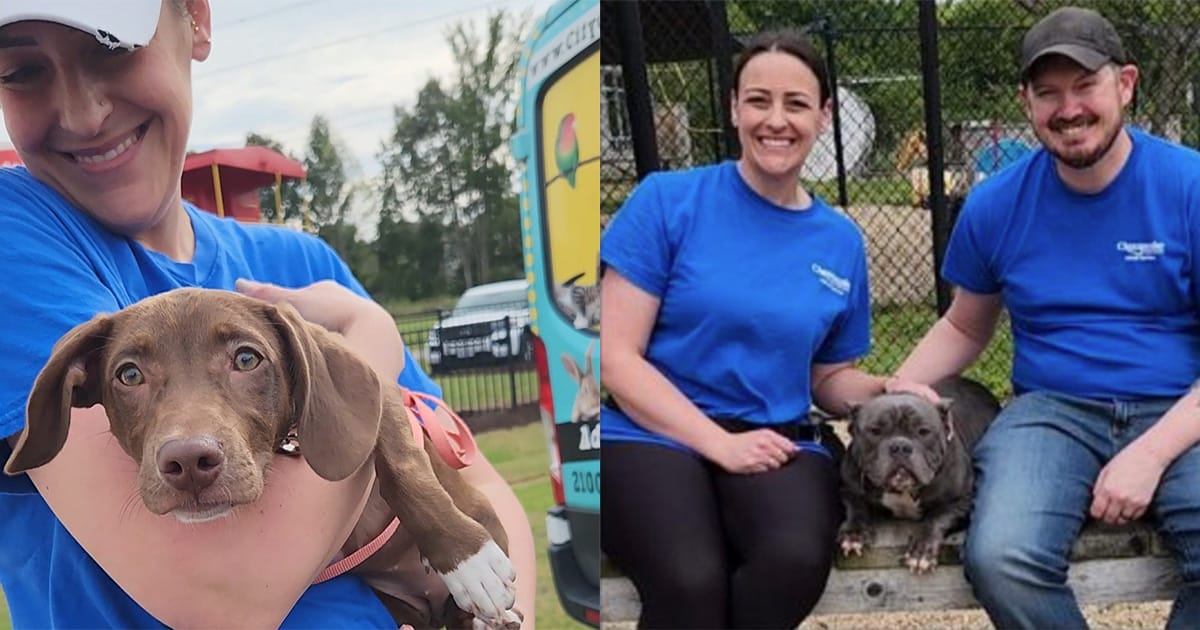 Husband pays adoption fees for 40 dogs in honor of wife's 40th birthday.