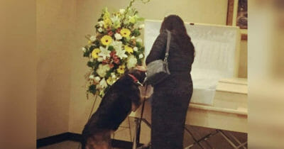 Sadie, kista, hund, begravning