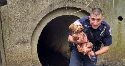 policía salva la perro del tunel